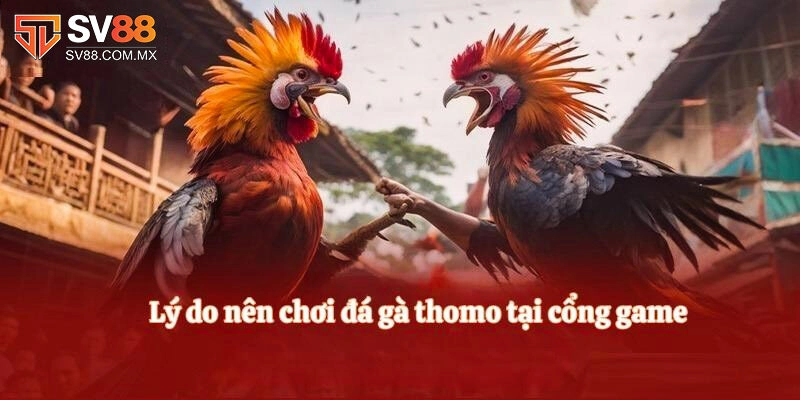 Đánh giá những ưu điểm của Đá gà Thomo